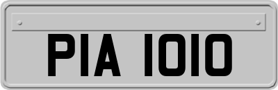 PIA1010
