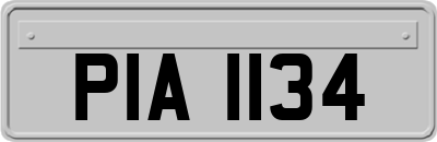 PIA1134