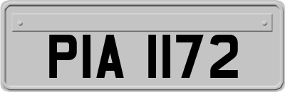 PIA1172