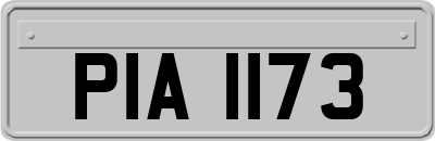 PIA1173