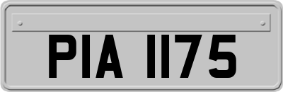 PIA1175