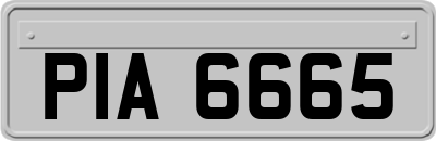 PIA6665