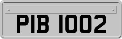PIB1002