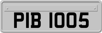 PIB1005
