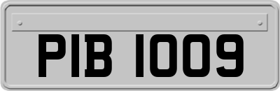 PIB1009