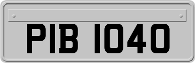 PIB1040