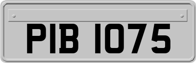 PIB1075