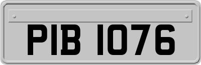 PIB1076