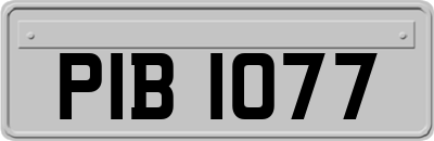 PIB1077
