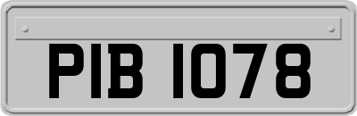 PIB1078