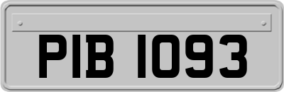 PIB1093