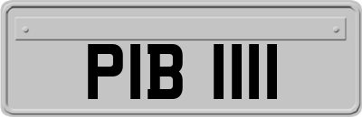 PIB1111