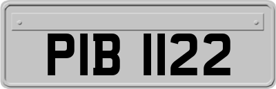 PIB1122