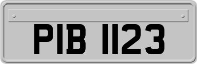 PIB1123