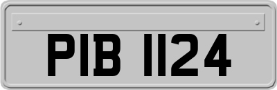 PIB1124