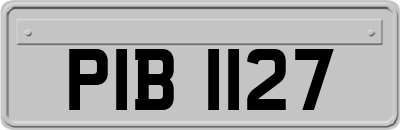 PIB1127
