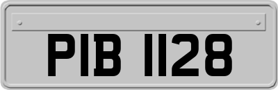 PIB1128
