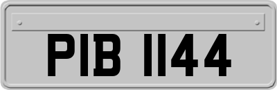 PIB1144
