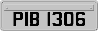 PIB1306