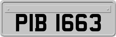 PIB1663