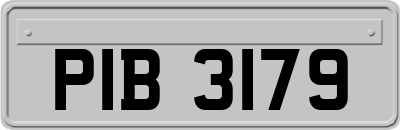 PIB3179