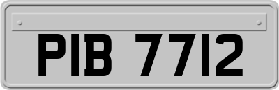 PIB7712