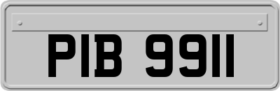 PIB9911