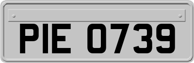 PIE0739