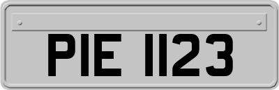 PIE1123