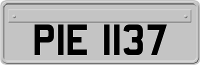 PIE1137