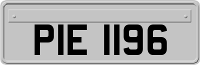 PIE1196