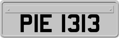 PIE1313