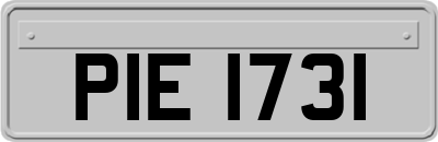 PIE1731