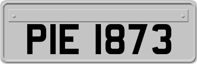 PIE1873