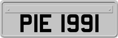 PIE1991