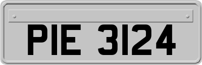 PIE3124