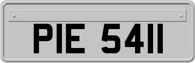 PIE5411