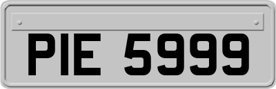 PIE5999