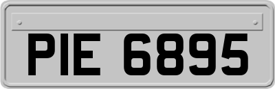 PIE6895