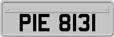 PIE8131