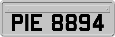 PIE8894