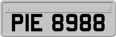PIE8988