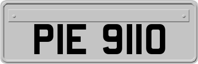 PIE9110
