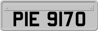 PIE9170