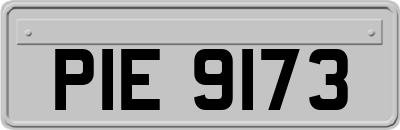 PIE9173
