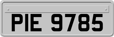 PIE9785