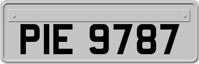 PIE9787