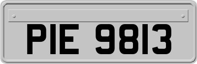 PIE9813