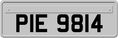 PIE9814