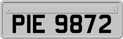 PIE9872